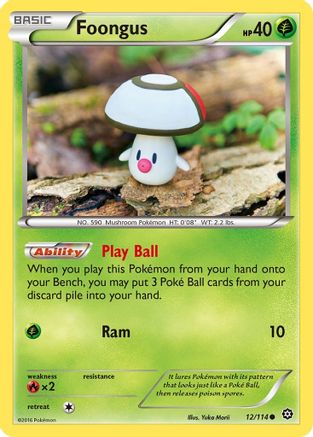 Foongus - 12/114 - Common - Reverse Holo
