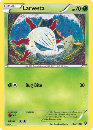 Larvesta - 14/114 - Common - Reverse Holo