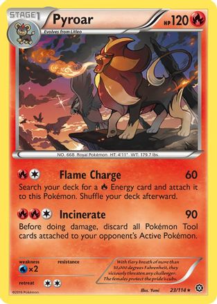 Pyroar - 23/114 - Rare