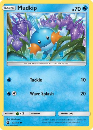 Mudkip (33) - 33/168 - Common - Reverse Holo