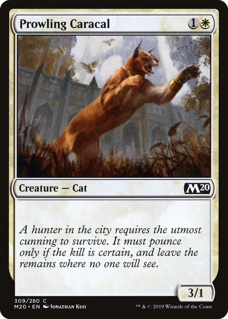 Prowling Caracal (M20-309)