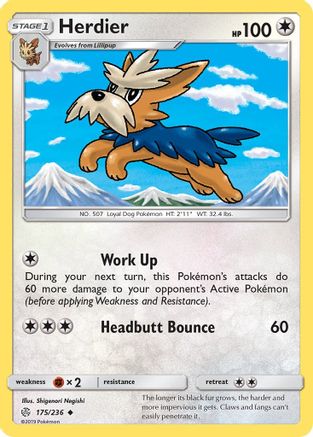 Herdier - 175/236 - Uncommon - Reverse Holo