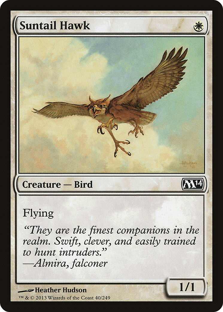 Suntail Hawk (M14-040) Foil