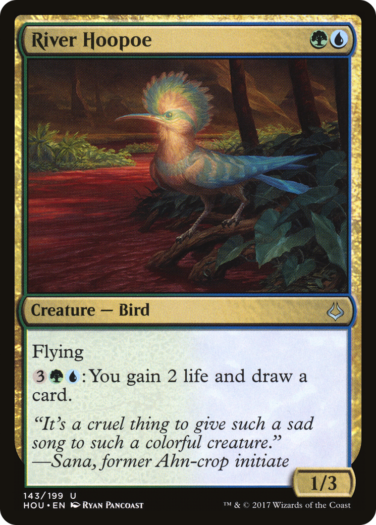 River Hoopoe (HOU-143)