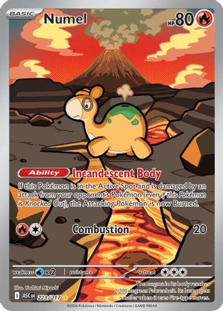 Numel 223/217 - Illustration Rare