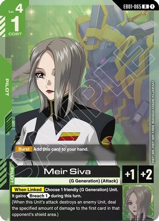 Meir Siva (EB01-065)