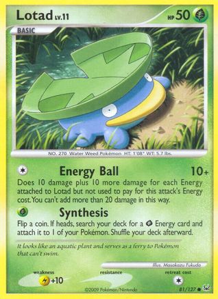 Lotad - 81/127 - Common - Reverse Holo