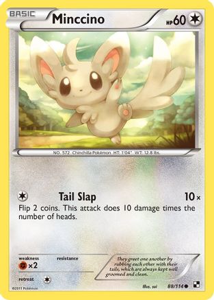 Minccino - 88/114 - Common - Reverse Holo