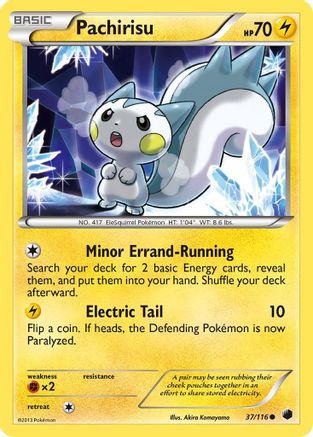 Pachirisu - 37/116 - Common