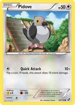 Pidove - 84/114 - Common - Reverse Holo