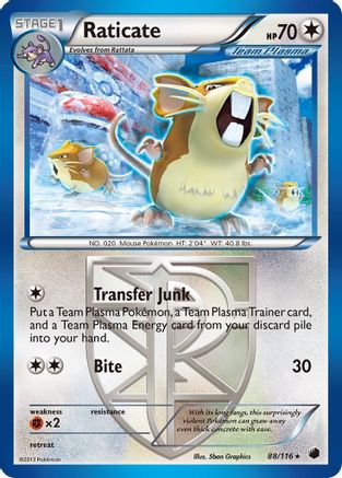 Raticate (Team Plasma) - 88/116 - Rare - Reverse Holo