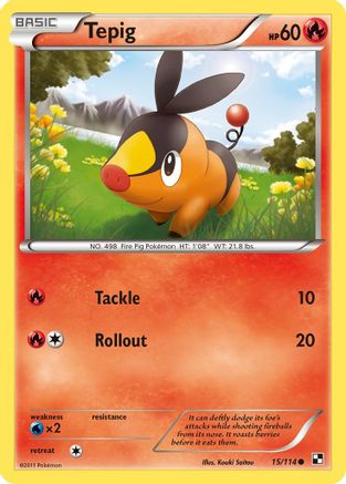 Tepig (15) - 15/114 - Common