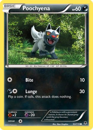 Poochyena - 53/119 - Common - Reverse Holo