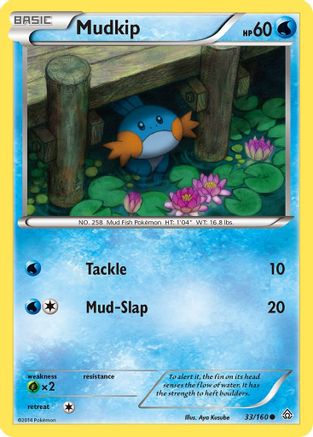 Mudkip - 33/160 - Common