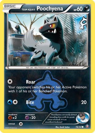 Team Aqua's Poochyena - 16/34 - Common