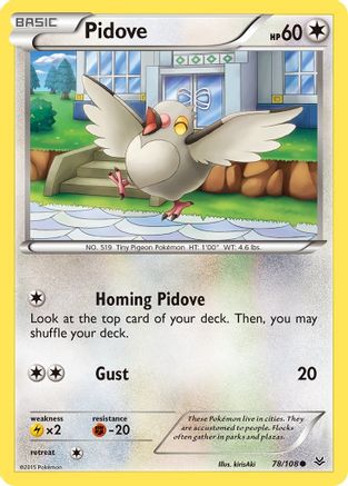 Pidove - 78/108 - Common - Reverse Holo