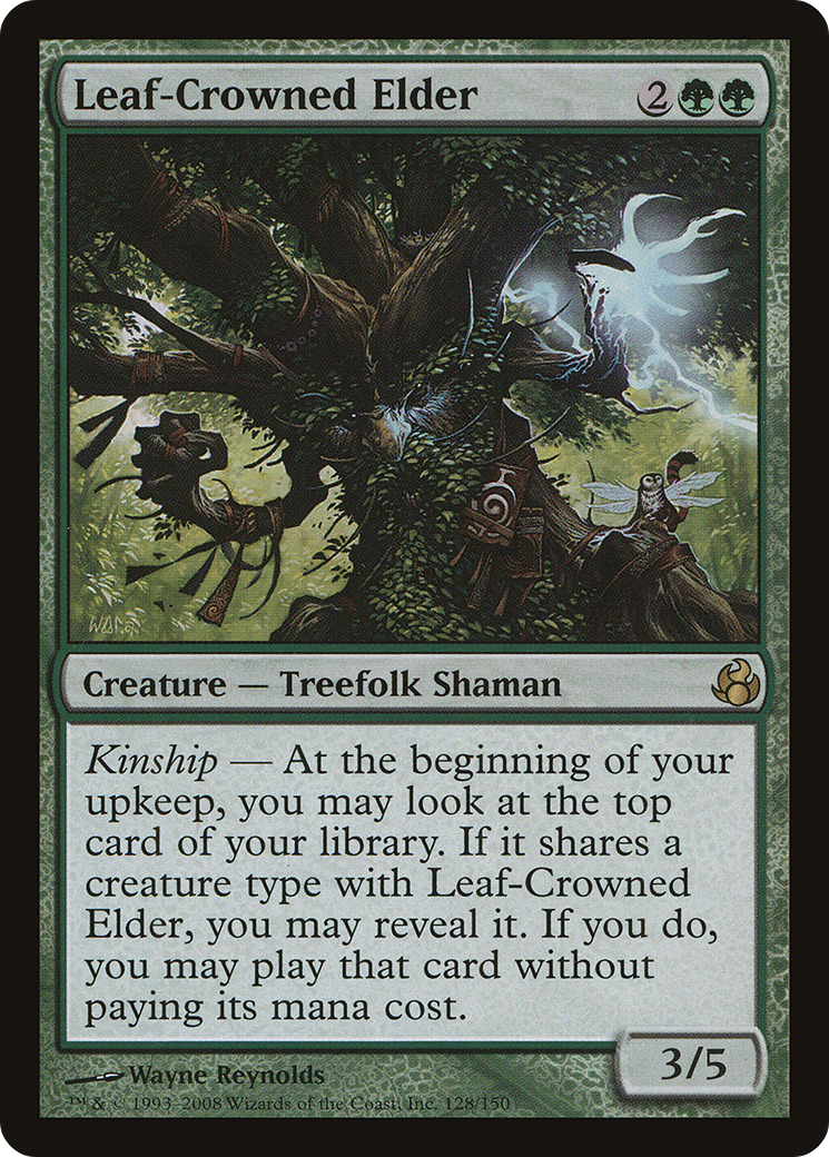 Leaf-Crowned Elder (MOR-128)
