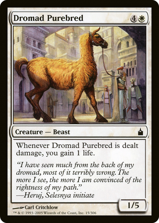 Dromad Purebred (RAV-015)
