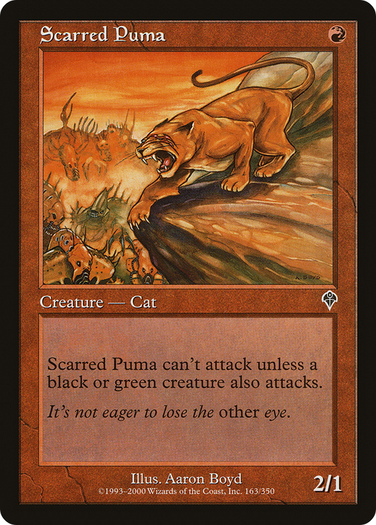 Scarred Puma (INV-163)