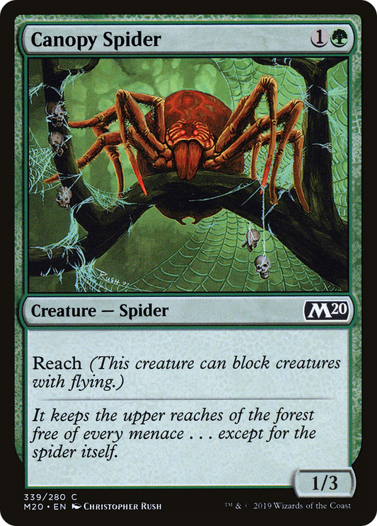 Canopy Spider (M20-339)