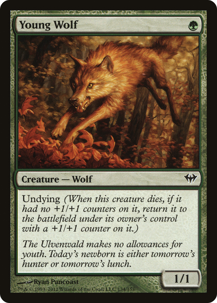 Young Wolf (DKA-134)