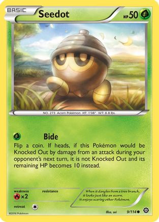 Seedot - 9/114 - Common - Reverse Holo