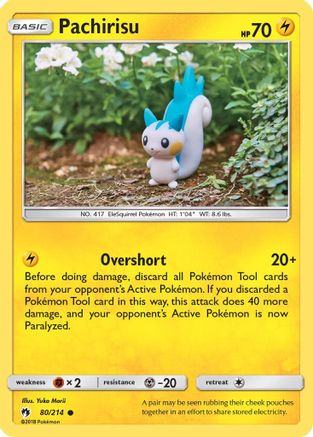 Pachirisu - 80/214 - Common - Reverse Holo