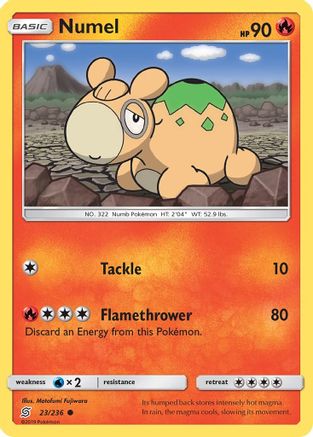 Numel - 23/236 - Common
