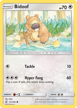 Bidoof - 171/236 - Common
