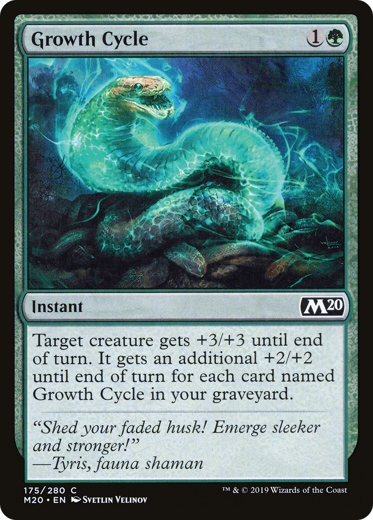 Growth Cycle (M20-175)  Foil