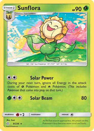 Sunflora - 8/236 - Rare