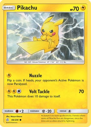 Pikachu - 66/236 - Common - Reverse Holo