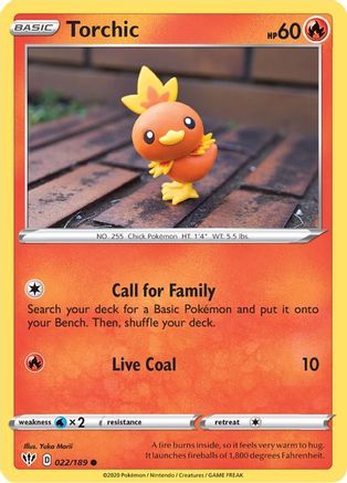 Torchic 022   - Common