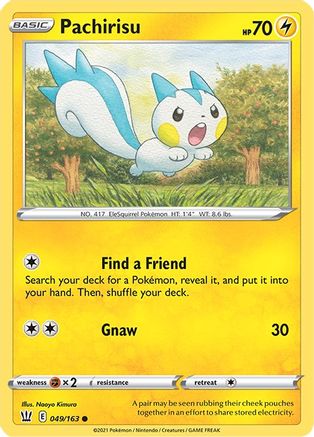 Pachirisu 049   - Common