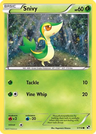 Snivy (Cosmos Holo) 001/114  - Holofoil Miscellaneous Cards & Products - Promo