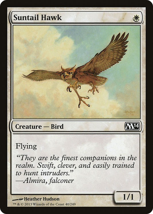 Suntail Hawk (M14-040)