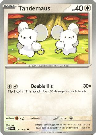 Tandemaus 160/198 - Common - Reverse Holo