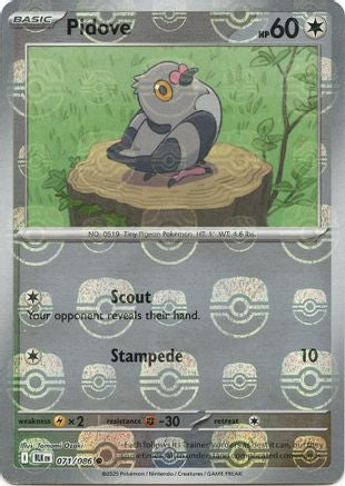 Pidove (Master Ball Pattern) 071  - Holofoil SV Black Bolt - Common