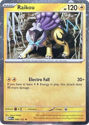 Raikou (Cosmos Holo) 048/132  - Holofoil Miscellaneous Cards & Products - Promo