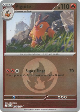 Pignite (Energy Symbol Pattern) 030 - Uncommon Reverse Holo