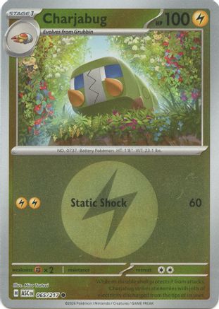 Charjabug (Energy Symbol Pattern) 065 - Common Reverse Holo