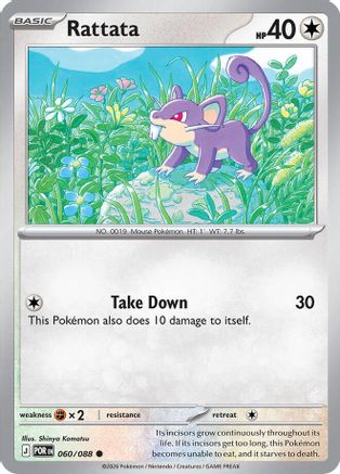 Rattata 060 - Common