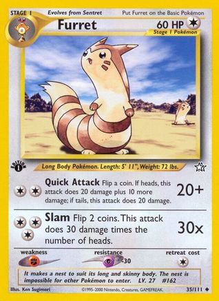 Furret - 35/111 - Uncommon - 1st Edition