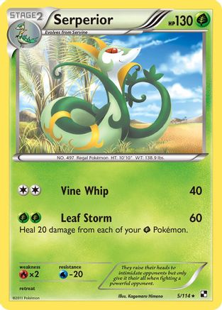 Serperior (5) - 5/114 - Holo Rare - Reverse Holo