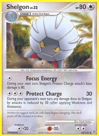 Shelgon - 64/132 - Uncommon