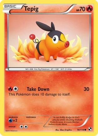 Tepig (16) - 16/114 - Common - Reverse Holo