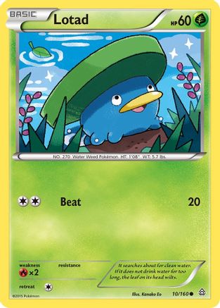 Lotad - 10/160 - Common - Reverse Holo