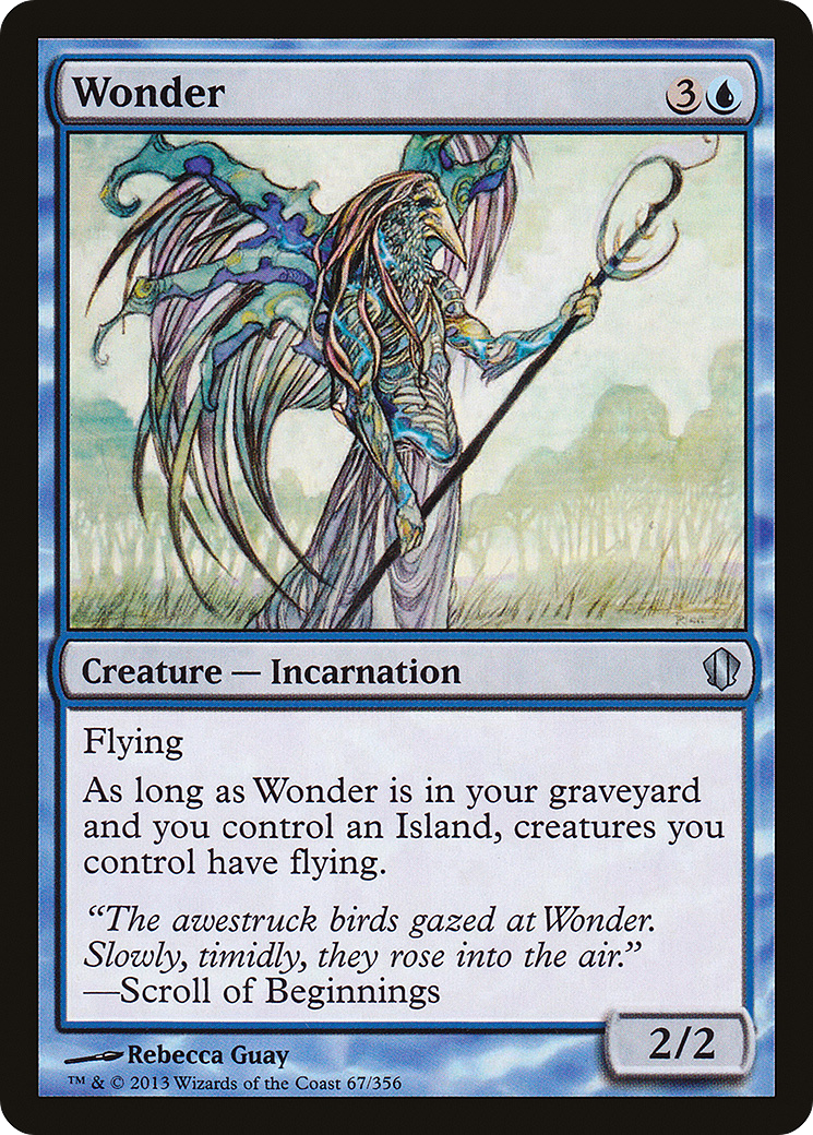 Wonder (C13-067)