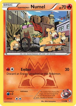 Team Magma's Numel - 1/34 - Common - Reverse Holo