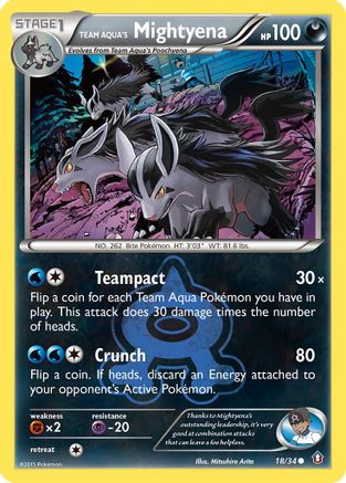 Team Aqua's Mightyena - 18/34 - Common